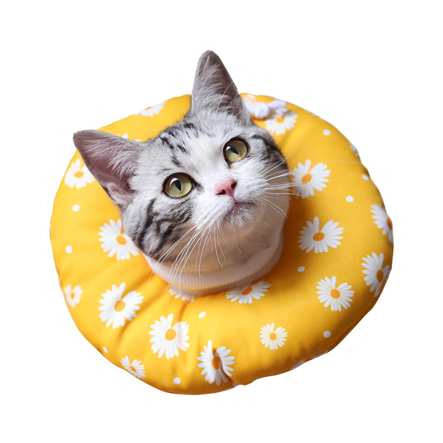 Amazon | エリザベスカラー 猫用 犬用 傷舐め防止 防水 汚れにくい